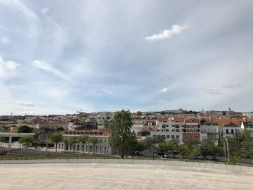 Vista de uma faixa de árvores, seguida por uma colina coberta de casas antigas de diversas cores.