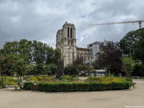 Catedral de Notre-Dame vista da Square René-Viviani.
