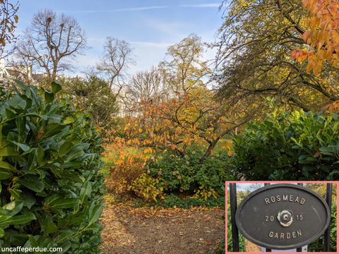 Rosmead Garden