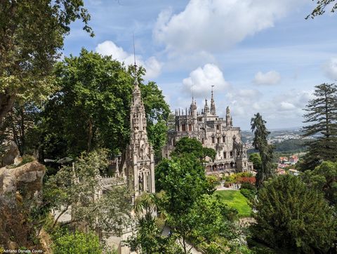 'Em meio a muitas árvores e sob céu azul com nuvens, vemos a torre de uma igreja e um palácio, ambos acinzentados e ricos em detalhes.'