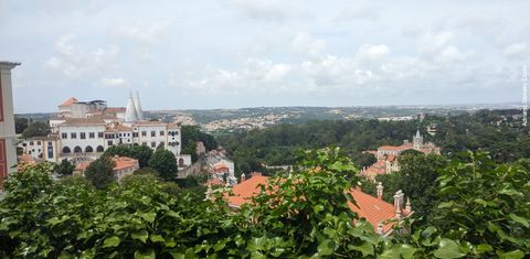 'Envolto em vegetação verde em primeiro plano e ao fundo, temos um palácio branco à esquerda, com duas chaminés cônicas. Há algumas edificações antigas menores espalhadas pela imagem.'