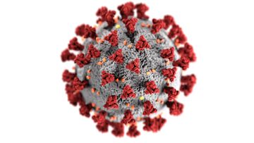 Coronavírus em imagem gerada por Centers for Disease Control and Prevention (CDC). Foto de CDC (https://unsplash.com/@cdc) em Unsplash.com