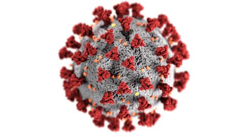 Coronavírus em imagem gerada por Centers for Disease Control and Prevention (CDC). Foto de CDC (https://unsplash.com/@cdc) em Unsplash.com