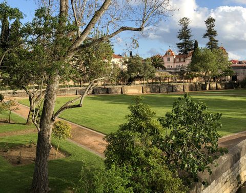 Extenso campo gramado, com uma faixa acimentada em volta. No entorno, árvores de diferentes tipos. Bem ao fundo, um casarão rosa, o Palácio do Marquês de Pombal.