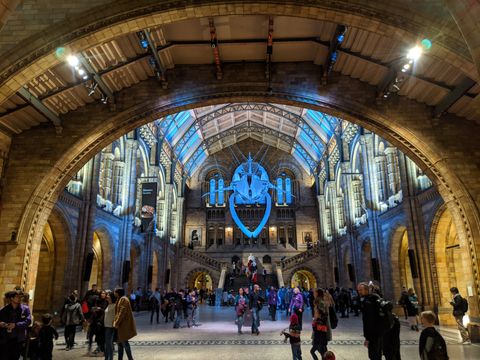 Natural History Museum - esqueleto de uma Baleia Azul