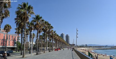Orla da Platja de La Barceloneta.