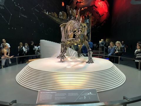 Sobre uma base circular branca e em frente a um fundo avermelhado, um esqueleto de dinossauro é observado por inúmeras pessoas.